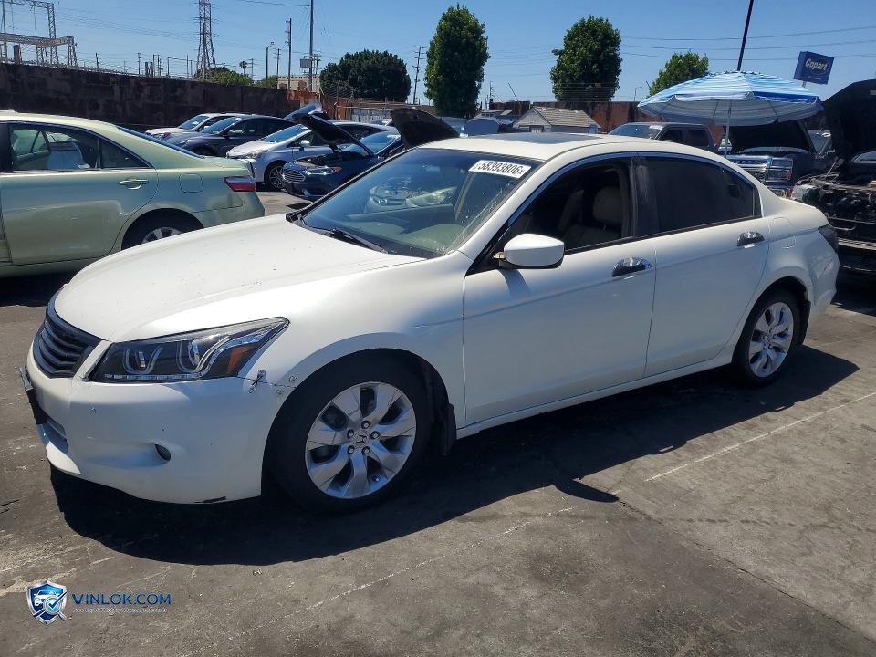 2009 HONDA ACCORD EXL – Lot 58393806 auction photo