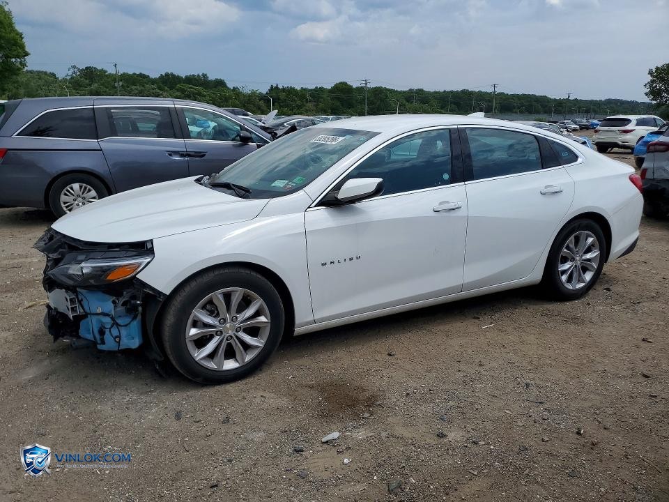 2023 CHEVROLET MALIBU LT – Lot 58395286 auction photo