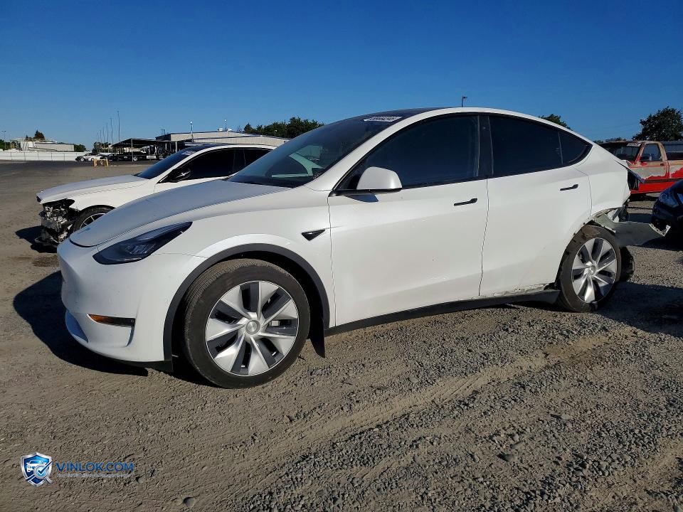 2022 TESLA MODEL Y – Lot 58444246 auction photo