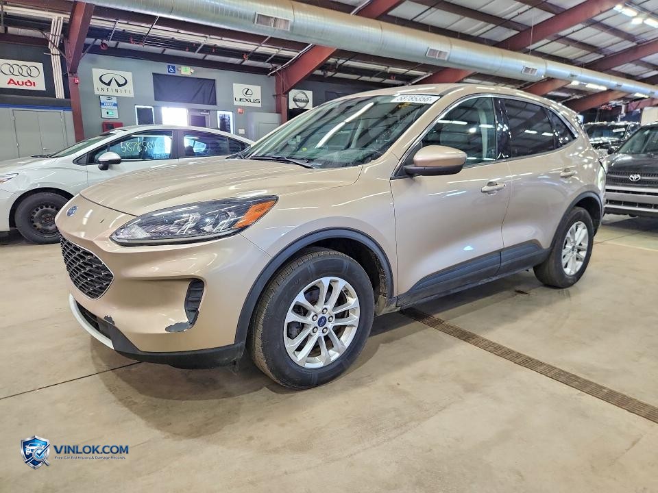 2020 FORD ESCAPE SE – Lot 58785356 auction photo