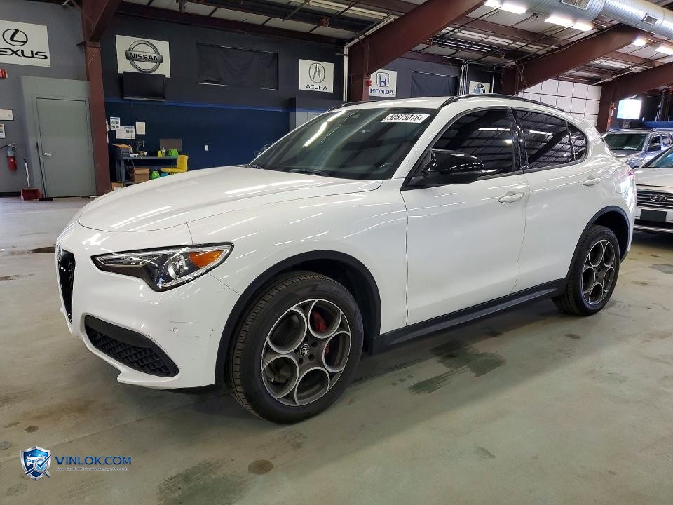2022 ALFA ROMEO STELVIO – Lot 58875016 auction photo