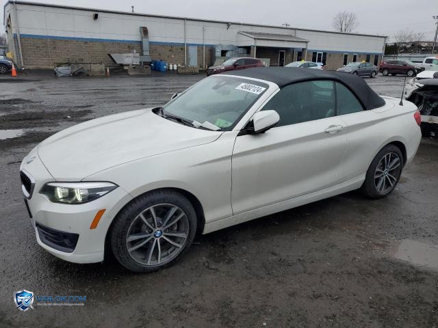 2018 BMW 230XI – Lot 63107514 auction photo