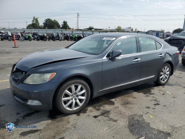 2008 LEXUS LS 460 – Lot 72055085 auction photo