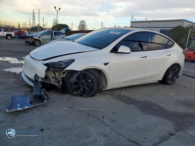2024 TESLA MODEL Y – Lot 72269555 auction photo
