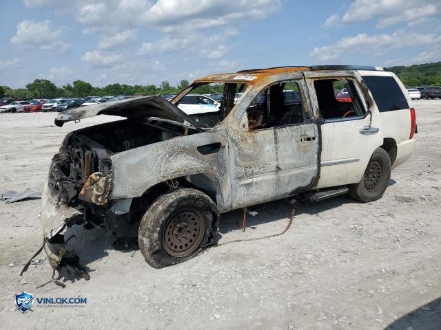 2008 CADILLAC ESCALADE LUXURY – Lot 72754225 auction photo