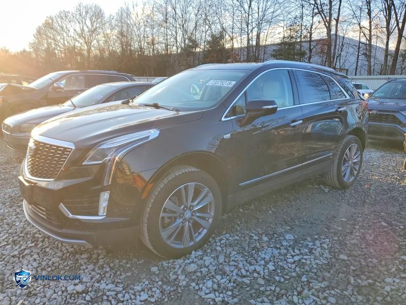2024 CADILLAC XT5 PREMIUM LUXURY – Lot 73075275 auction photo