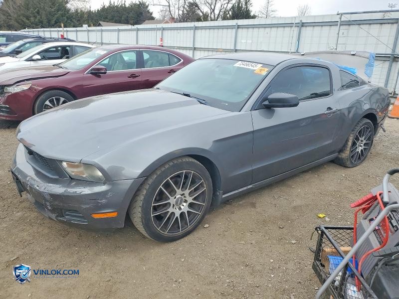 2011 FORD MUSTANG – Lot 73466545 auction photo