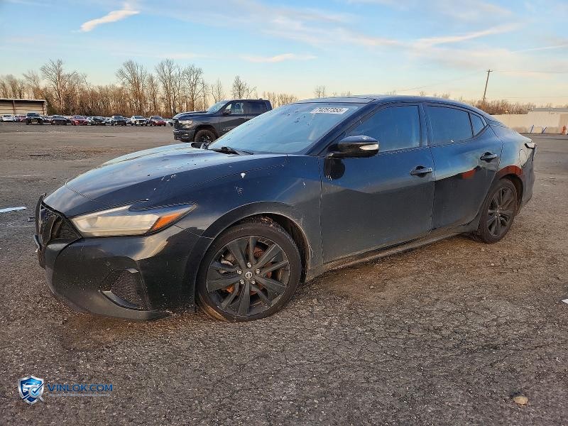 2019 NISS MAXIMA – Lot 74257355 auction photo
