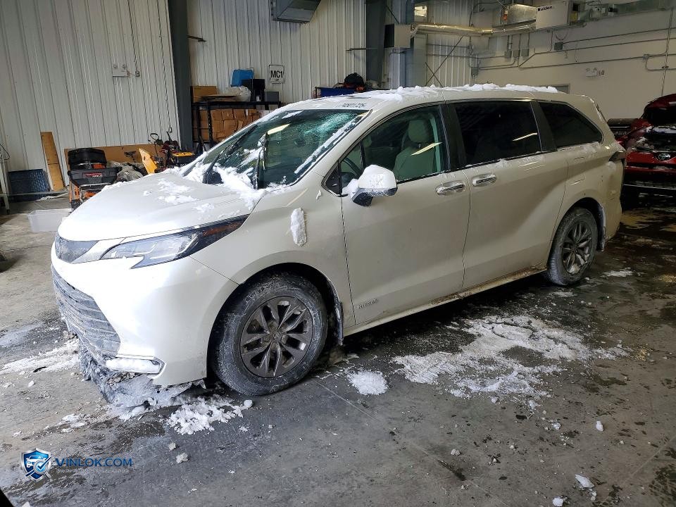 2021 TOYOTA SIENNA LE – Lot 74501725 auction photo