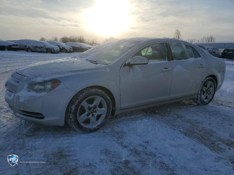 2010 CHEVROLET MALIBU 1LT – Lot 74554565 auction photo