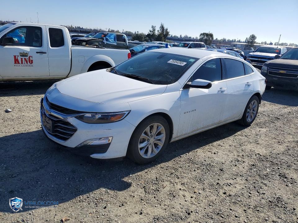 2021 CHEVROLET MALIBU LT – Lot 75384095 auction photo