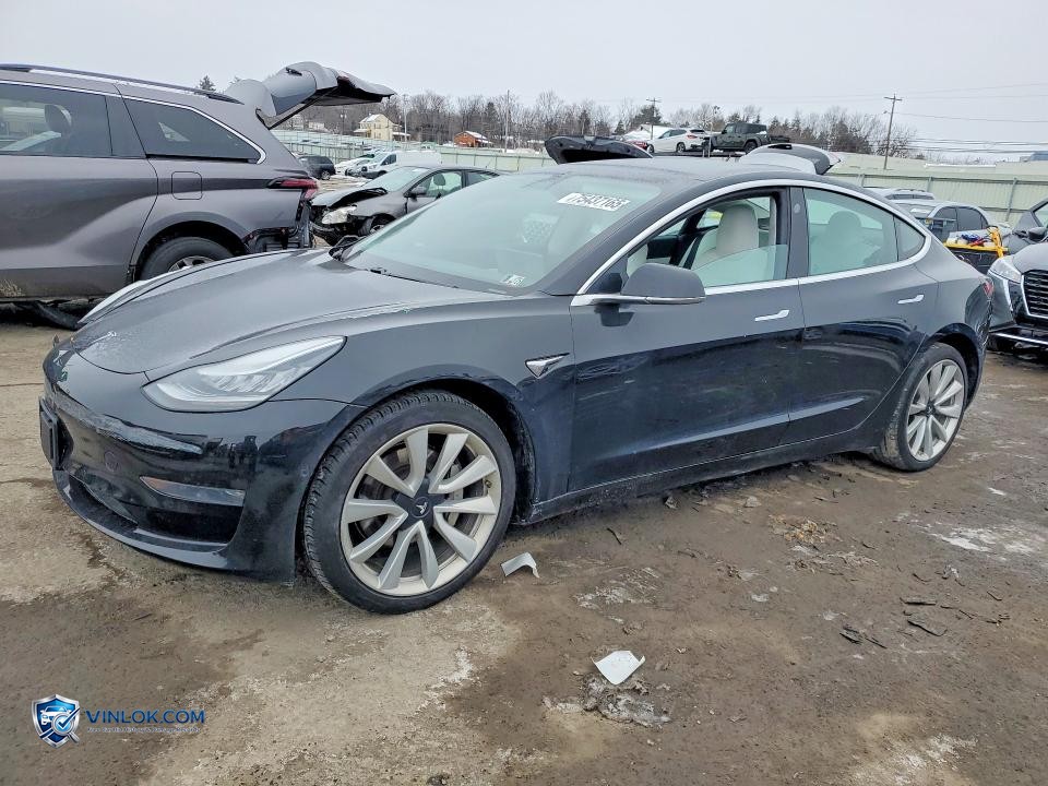 2019 TESLA MODEL 3 – Lot 75437165 auction photo