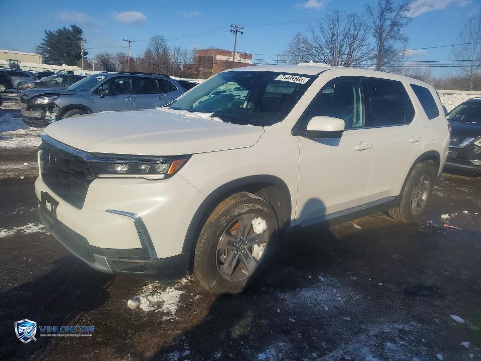 2024 HONDA PILOT EXL – Lot 75449565 auction photo