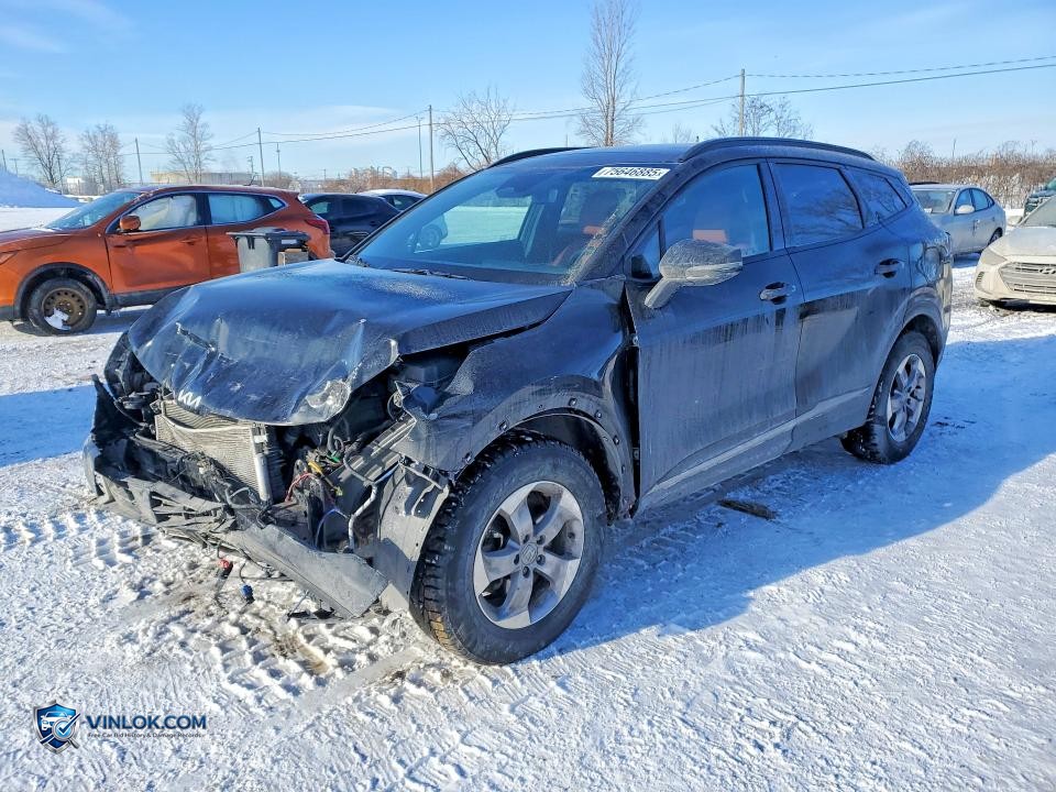 2025 KIA SPORTAGE EX – Lot 75646885 auction photo