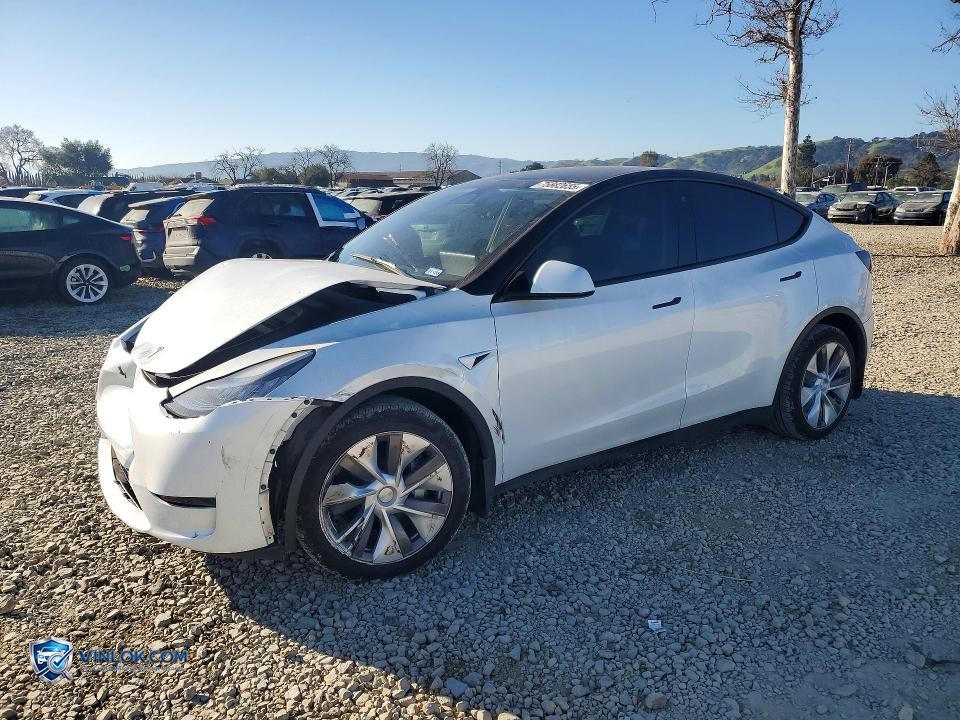 2023 TESLA MODEL Y – Lot 75882655 auction photo