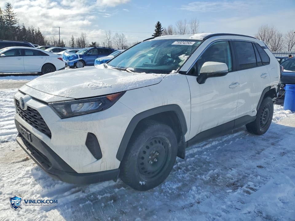 2024 TOYOTA RAV4 LE – Lot 75924255 auction photo