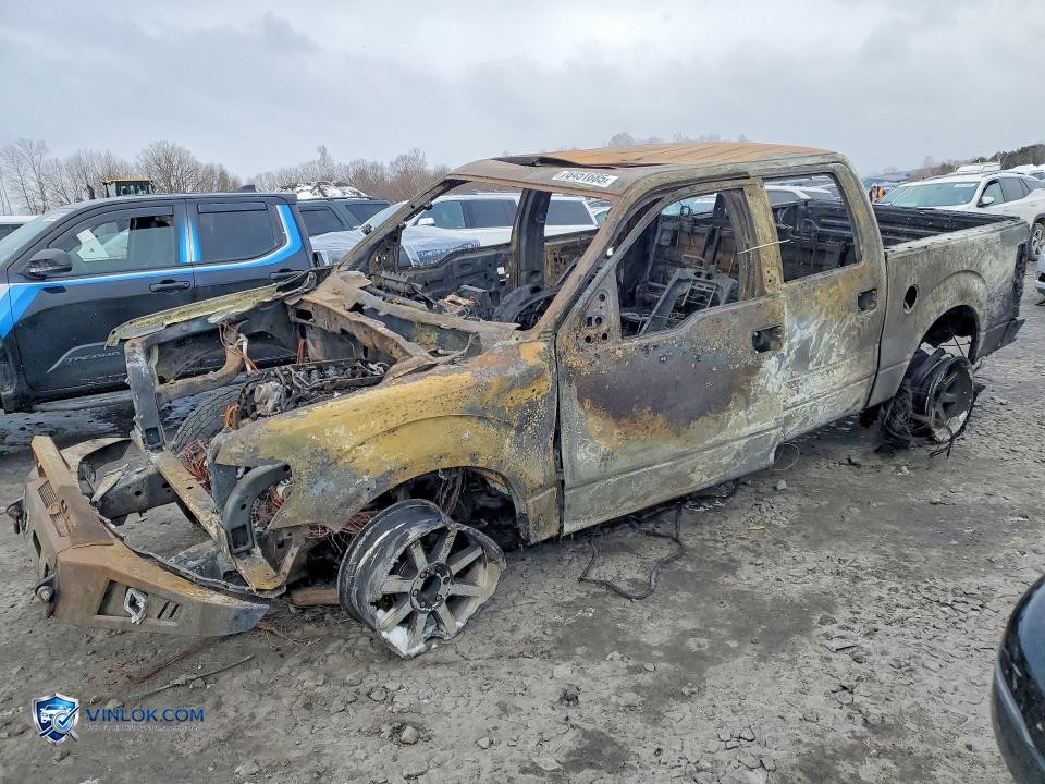2014 FORD F150 SUPERCREW – Lot 76451685 auction photo