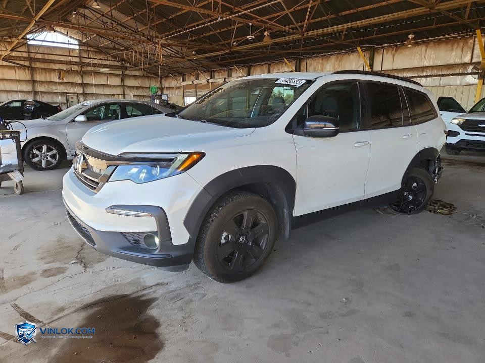 2022 HONDA PILOT TRAILSPORT – Lot 76466385 auction photo