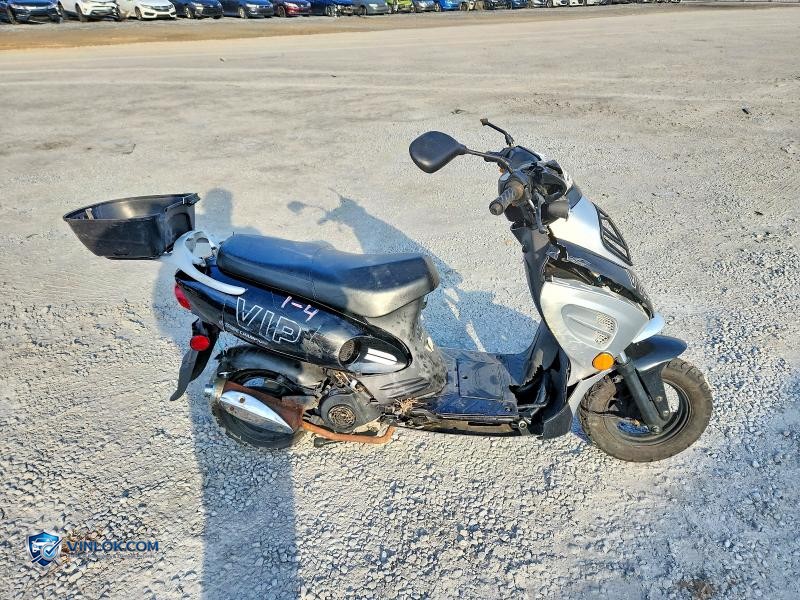 2022 TAOTAO VIP – Lot 76531555 auction photo