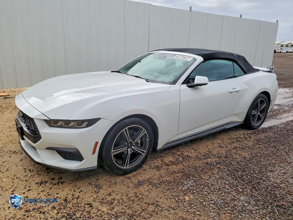 2025 FORD MUSTANG – Lot 76662795 auction photo
