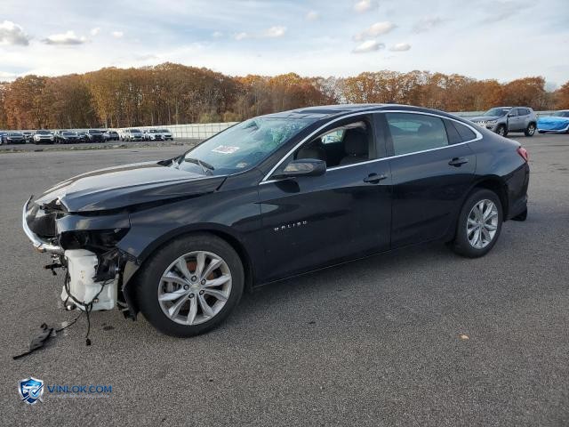 2023 CHEVROLET MALIBU LT – Lot 76850535 auction photo