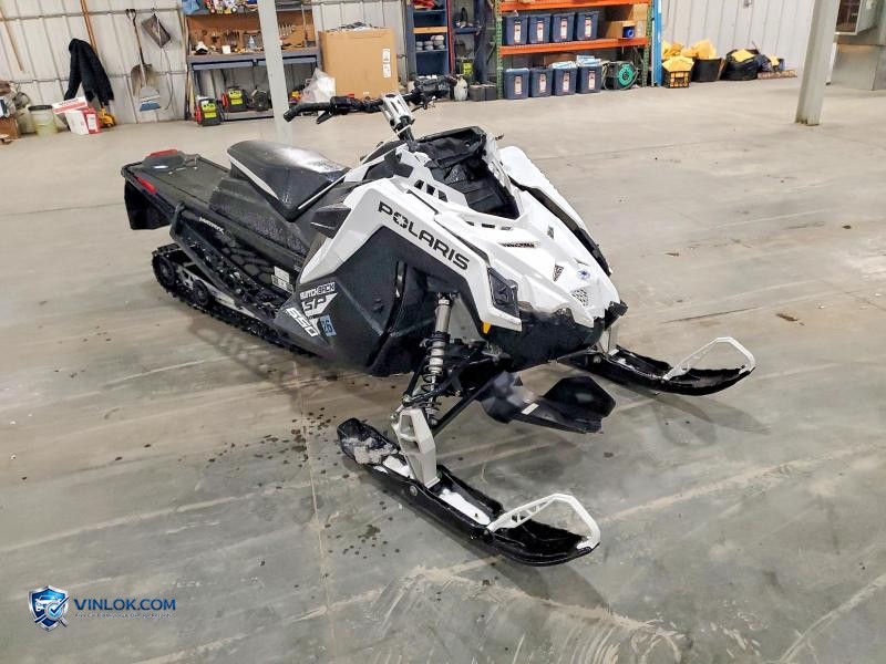 2024 POLA SWITCHBACK – Lot 76908165 auction photo