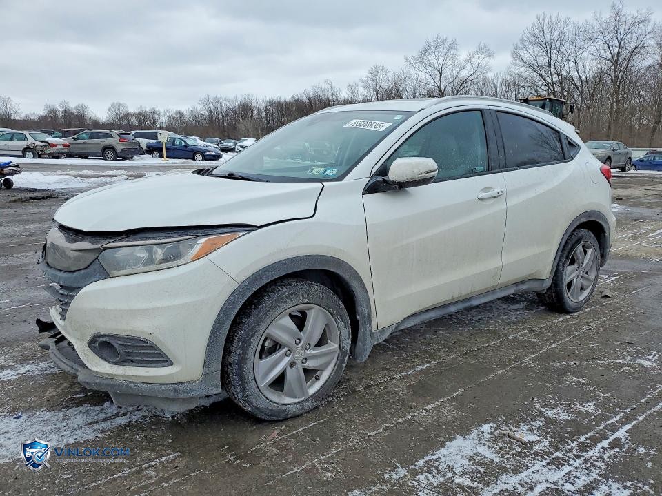 2019 HONDA HR-V EX – Lot 76920835 auction photo