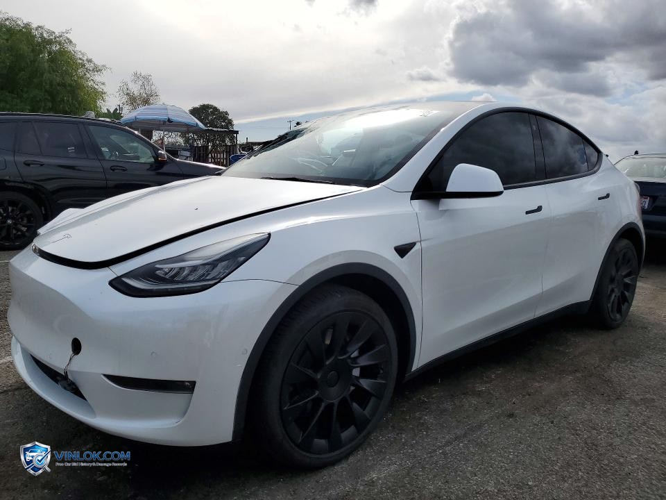 2021 TESLA MODEL Y – Lot 77016695 auction photo
