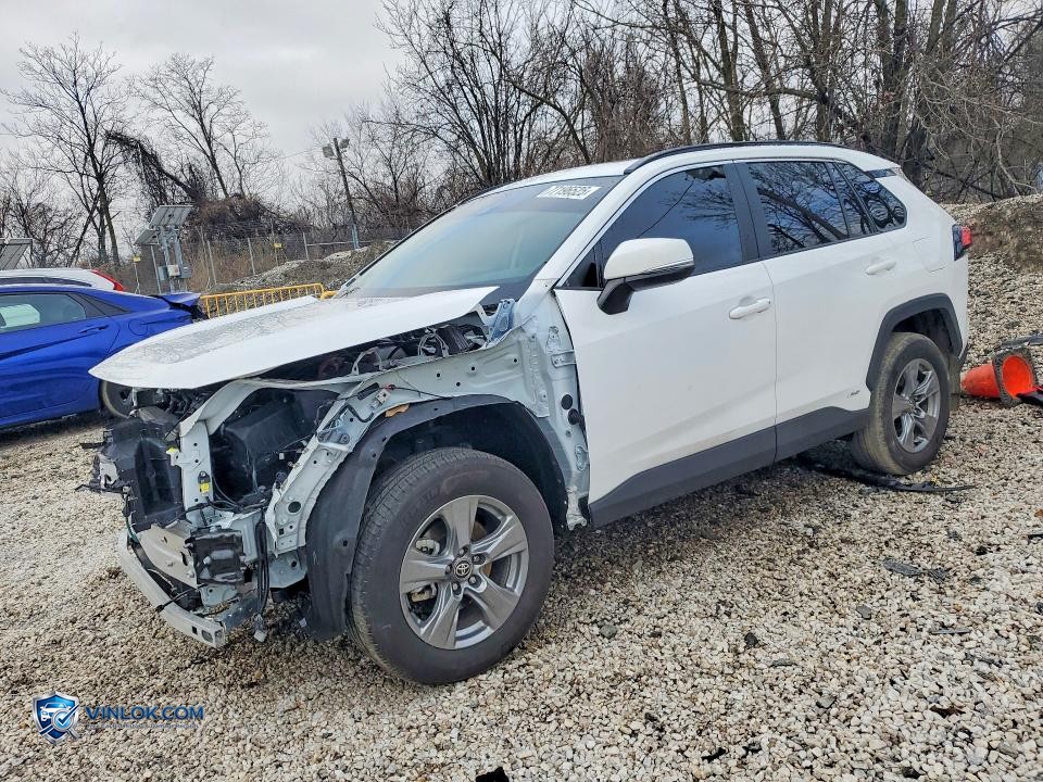 2025 TOYOTA RAV4 XLE – Lot 77196525 auction photo