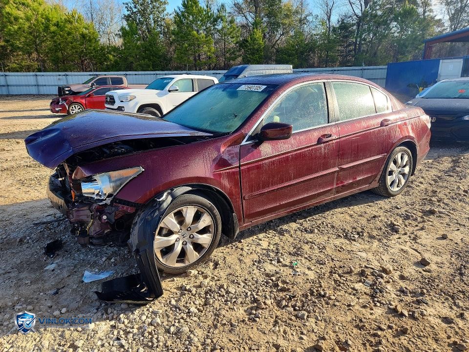 2010 HONDA ACCORD EXL – Lot 77590705 auction photo
