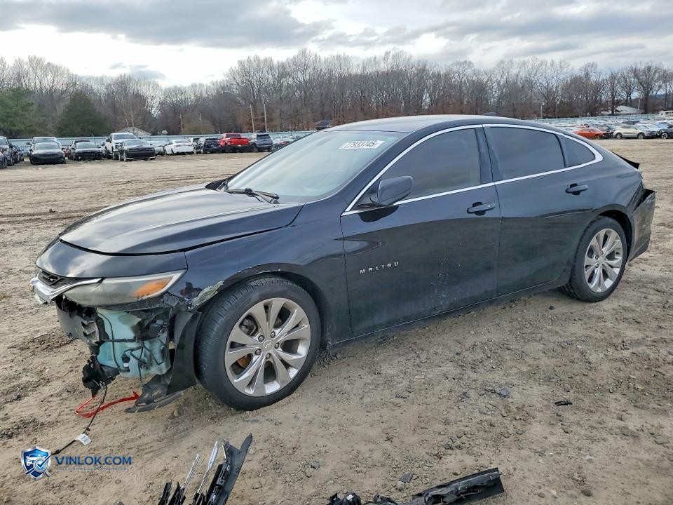 2019 CHEVROLET MALIBU LT – Lot 77933745 auction photo
