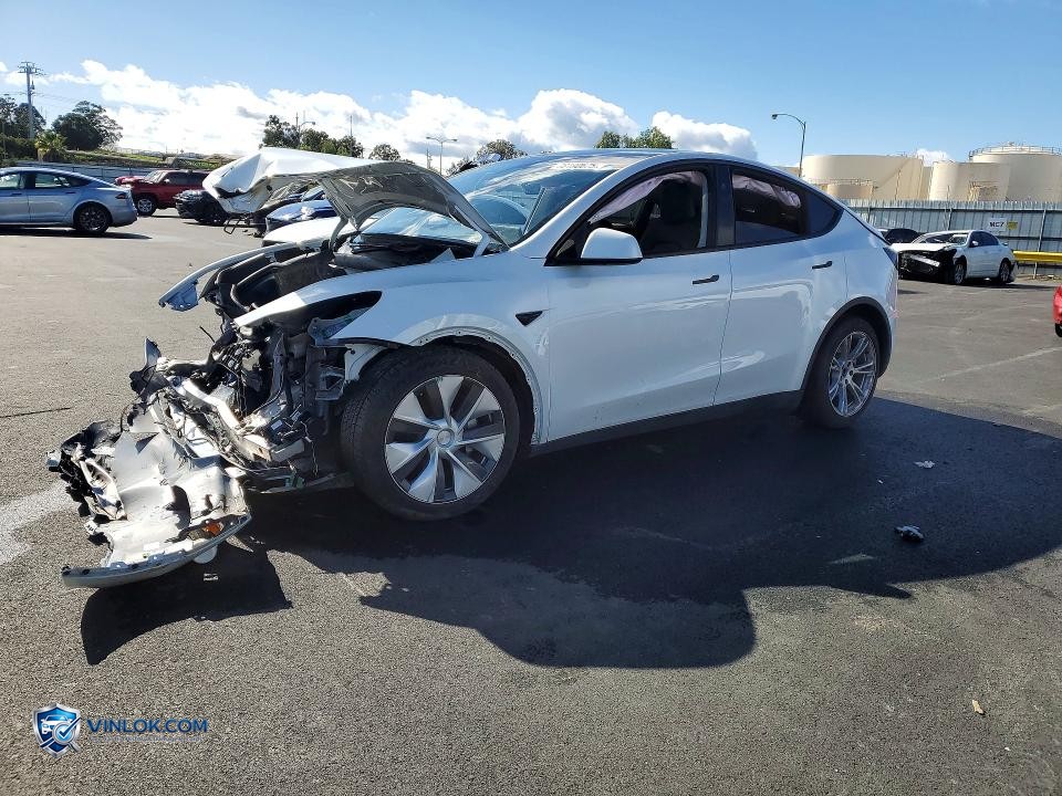 2023 TESLA MODEL Y – Lot 78190675 auction photo