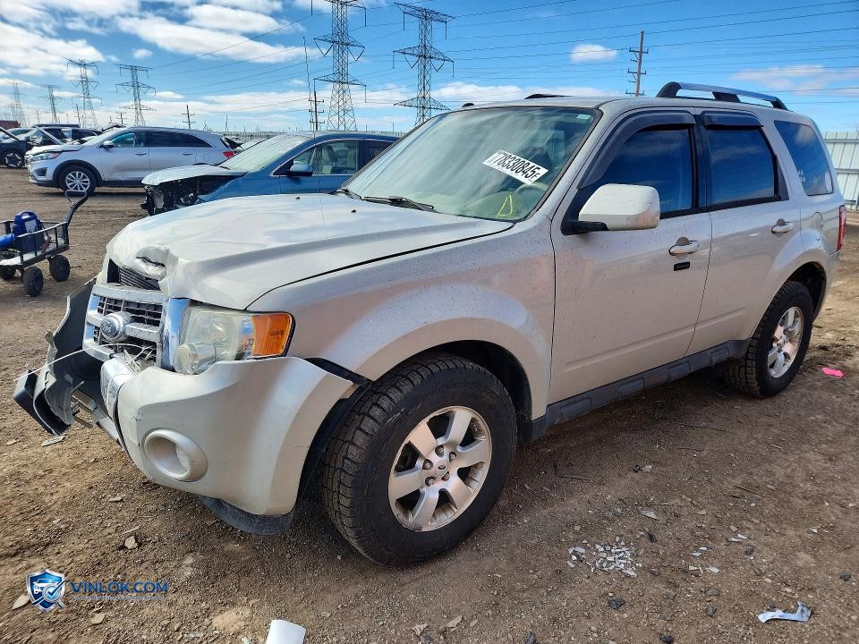 2009 FORD ESCAPE LIMITED – Lot 78330845 auction photo