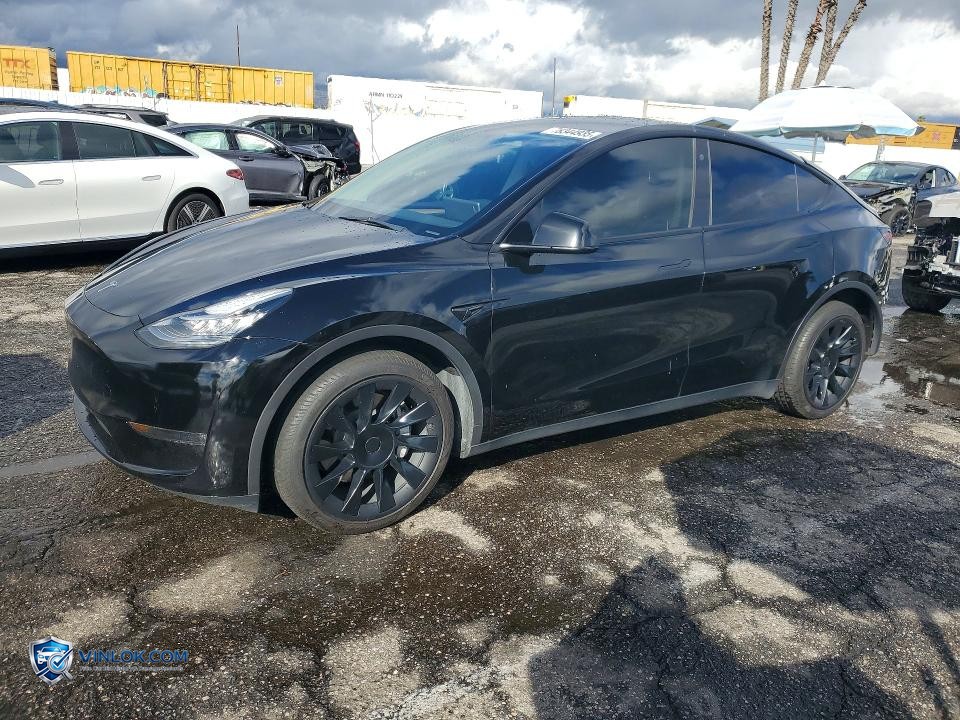 2023 TESLA MODEL Y – Lot 78344935 auction photo