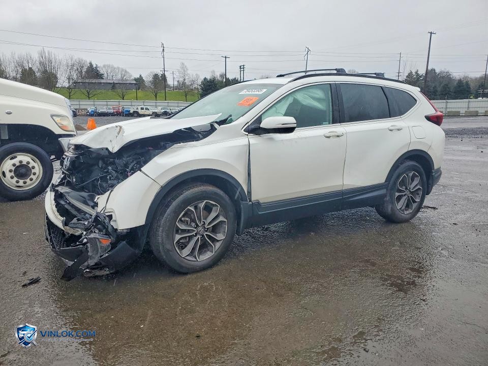 2020 HONDA CR-V EX – Lot 78453395 auction photo