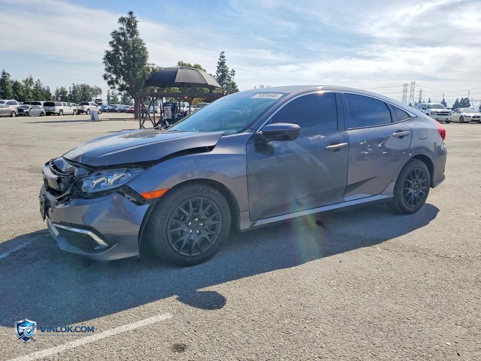 2019 HONDA CIVIC LX – Lot 78550595 auction photo