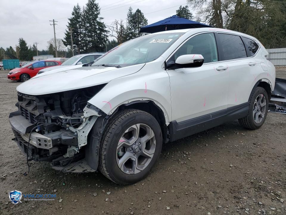 2019 HONDA CR-V EXL – Lot 78615705 auction photo
