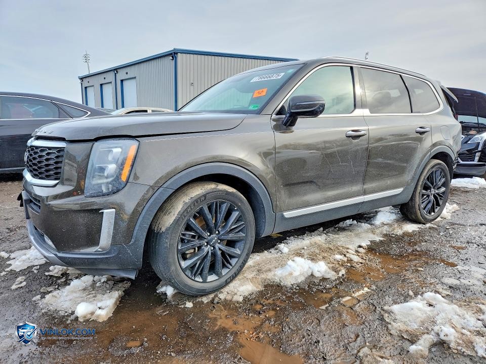 2022 KIA TELLURIDE SX – Lot 78666875 auction photo