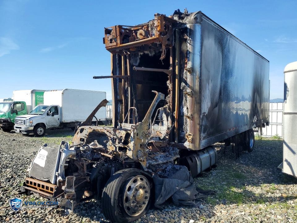 2024 PETERBILT 536 REFRIGERATED BOX TRUCK – Lot 78981855 auction photo