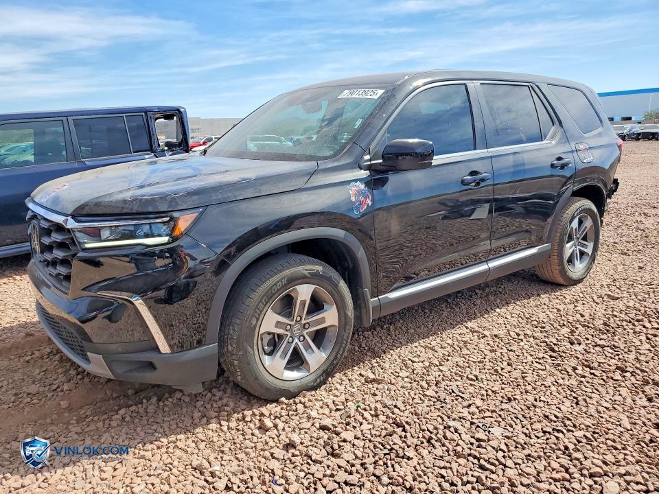 2024 HONDA PILOT EXL – Lot 79013925 auction photo