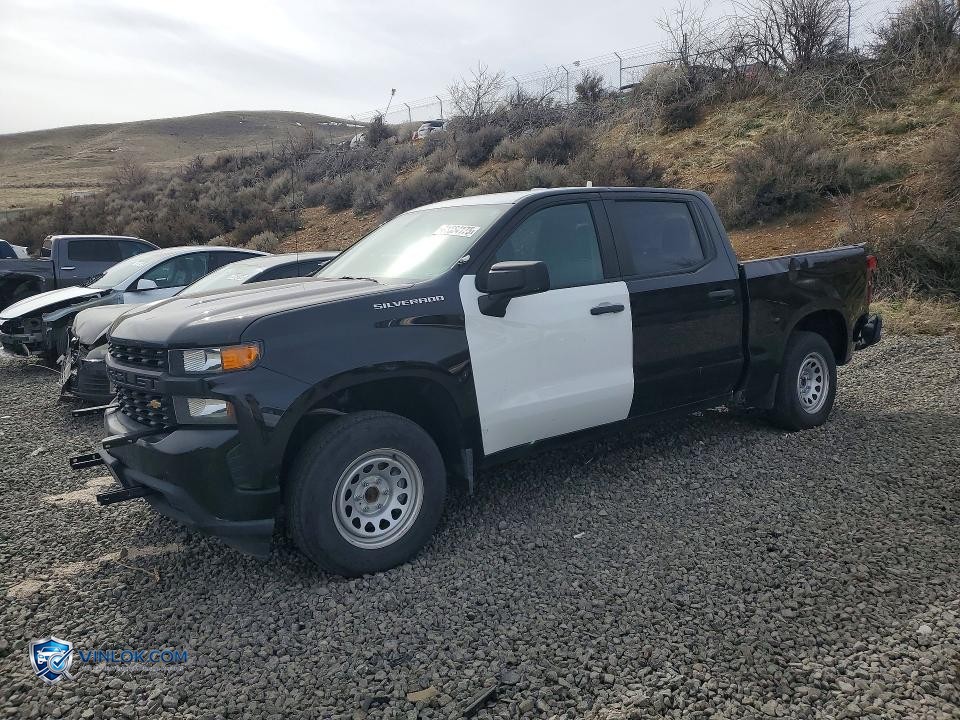 2019 CHEVROLET SILVERADO K1500 – Lot 79184065 auction photo