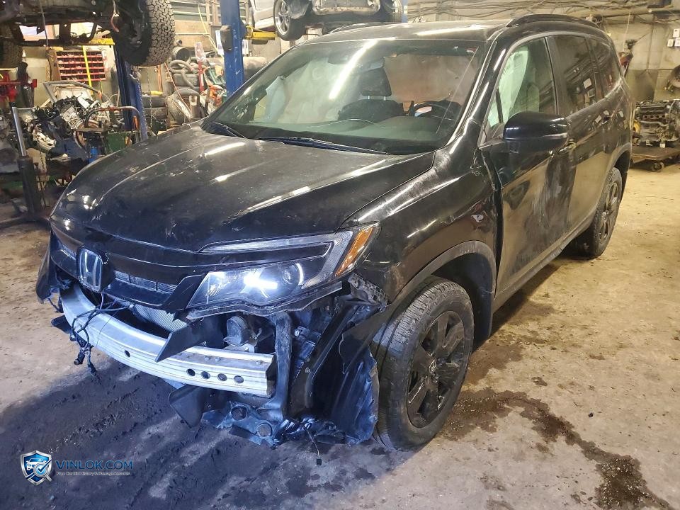 2022 HONDA TRUCK/VAN PILOT TRAILSPORT 4DR – Lot 79221525 auction photo