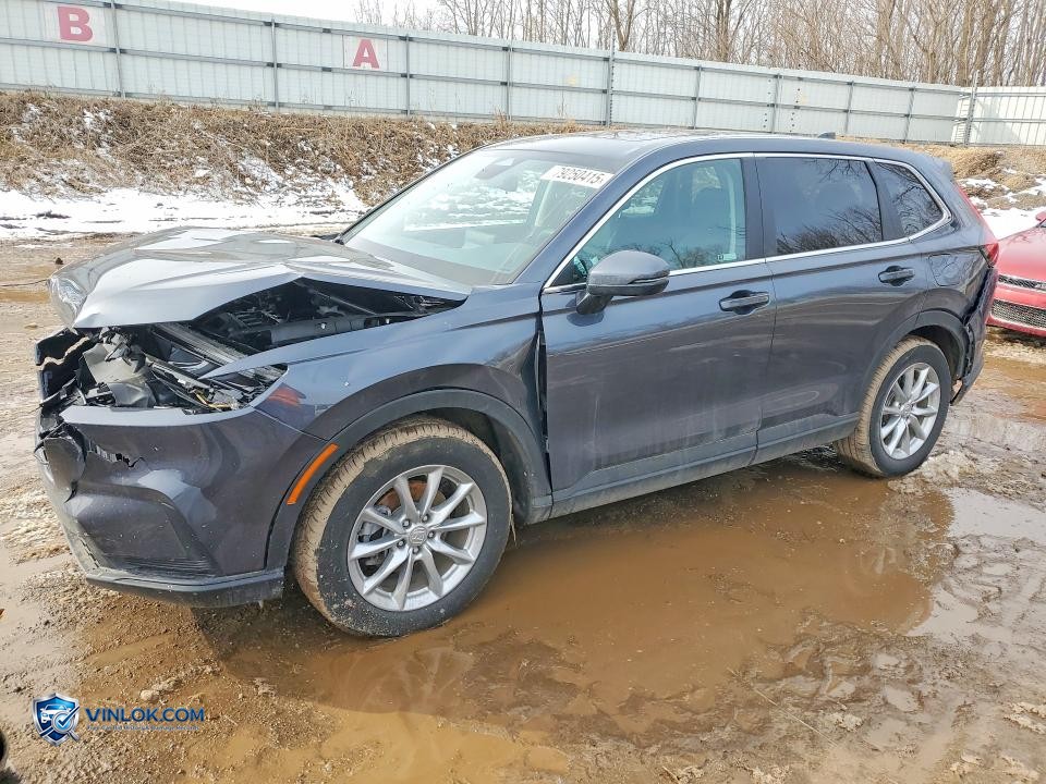 2026 HONDA CR-V EX – Lot 79250415 auction photo