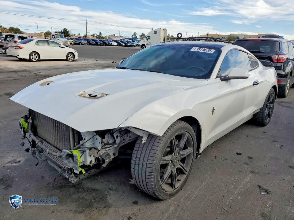 2019 FORD MUSTANG – Lot 79319585 auction photo