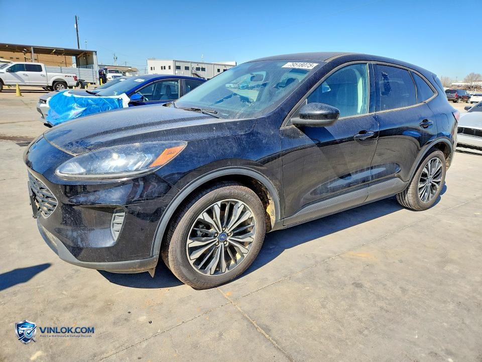 2021 FORD ESCAPE SE – Lot 79518075 auction photo