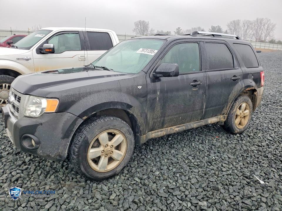 2011 FORD ESCAPE LIMITED – Lot 79731205 auction photo
