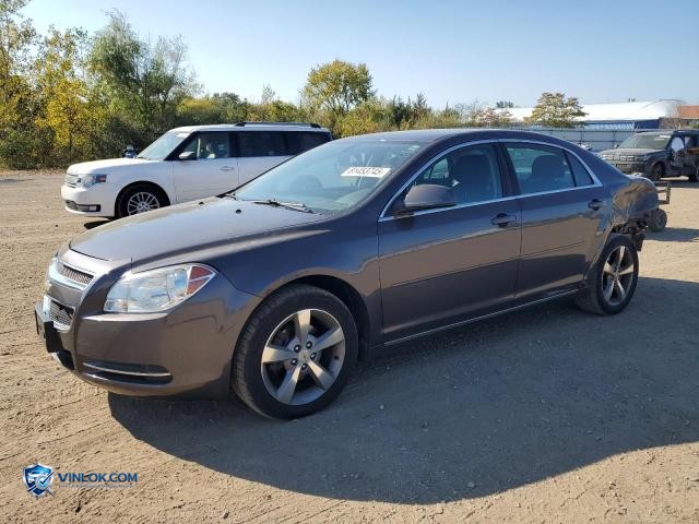 2011 CHEVROLET MALIBU 1LT – Lot 81453745 auction photo