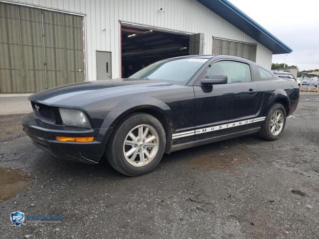 2006 FORD MUSTANG – Lot 85732265 auction photo