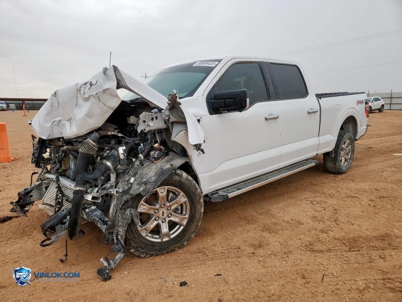2023 FORD F150 SUPERCREW – Lot 85869455 auction photo