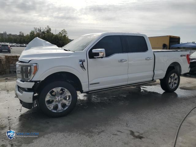 2023 FORD F150 SUPERCREW – Lot 86517565 auction photo